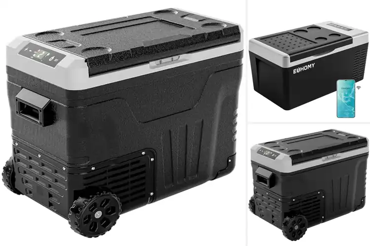 Detailed view of Best AC/DC Coolers: Top 10 for Fresh Adventures