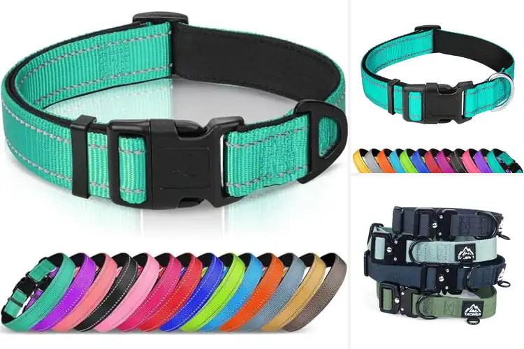 Detailed view of Best Adjustable Collars: Top 10 Picks for Happy Walks