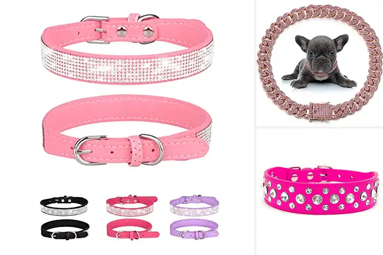 Detailed view of Best Bling Collars