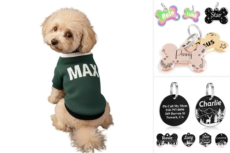 Detailed view of Best Custom Designed Puppies