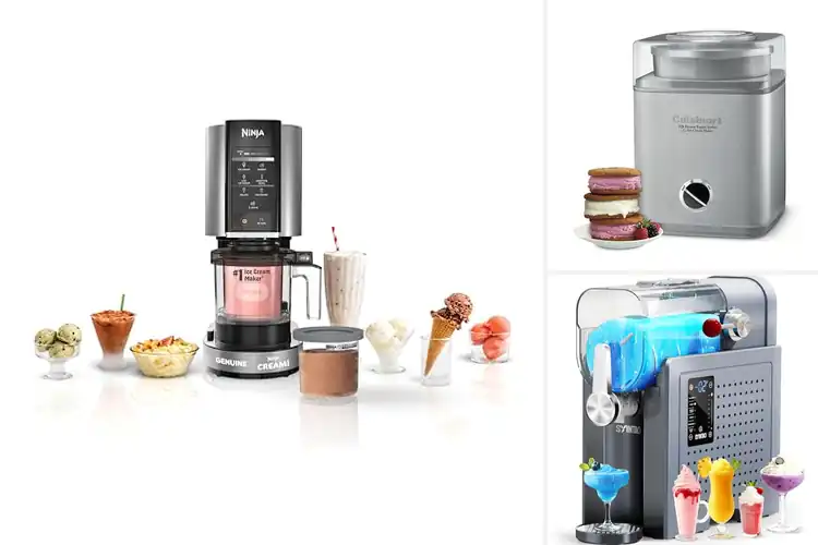 Detailed view of Best Customizable Ice Cream Machines