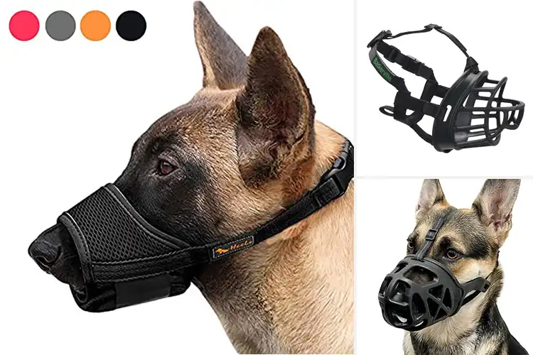 Detailed view of Best Dog Muzzles for Medium Dogs