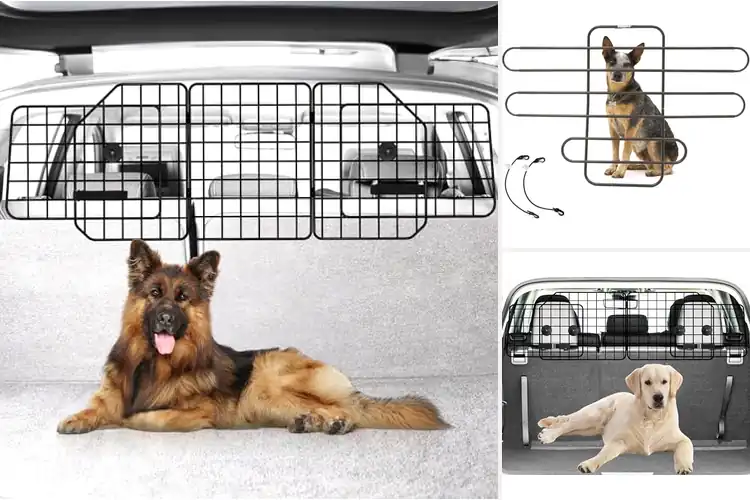 Detailed view of Best Dog Separator Guards: Top 10 Safe Car Ride Solutions