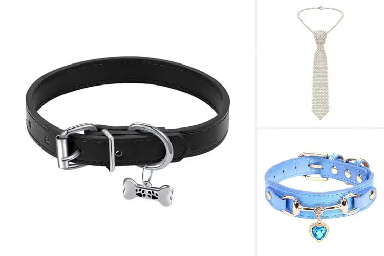 Detailed view of Best Fashion Collars: 10 Stylish Designs to Try