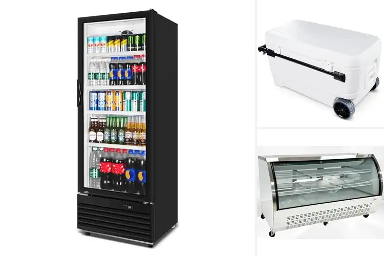 Detailed view of Best Large Capacity Display Coolers