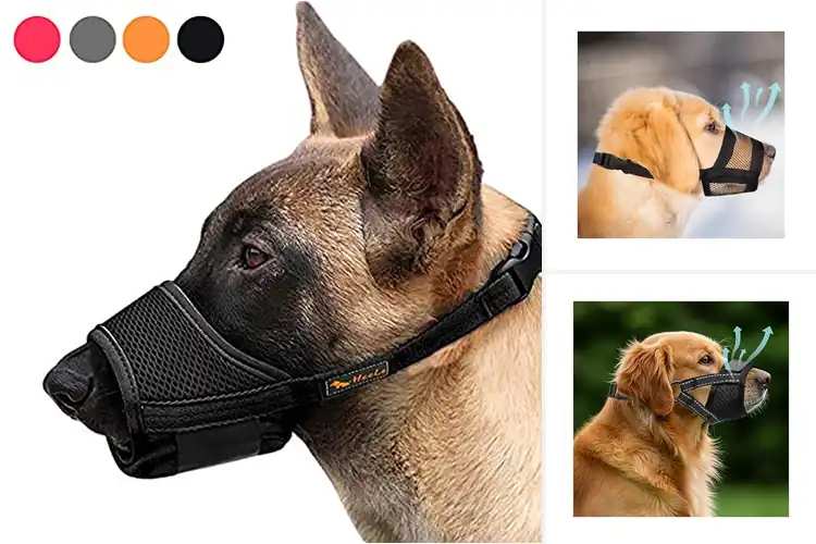 Detailed view of Best Muzzles for Barking Dogs