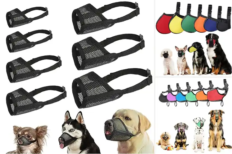 Detailed view of Best Muzzles for Dog Grooming
