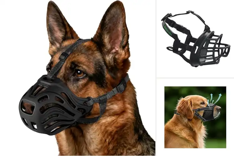 Detailed view of Best Muzzles to Prevent Biting