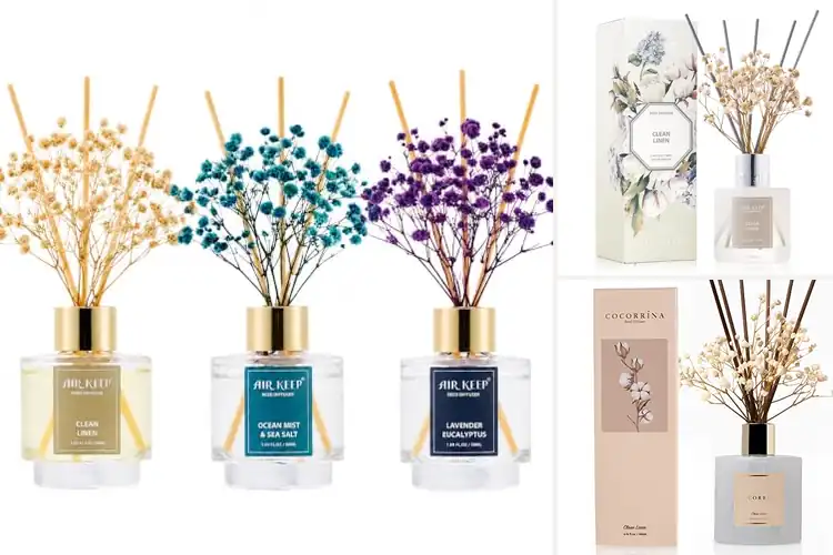 Detailed view of Best Room Aroma: Find Your Perfect Scent Today