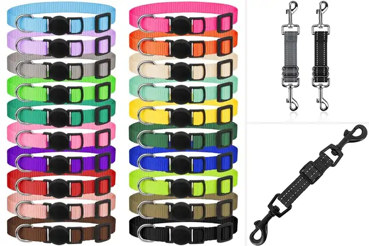 Detailed view of Best Safety Collars for Stress-Free Walks