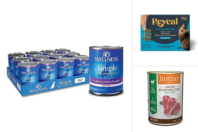 Detailed view of Best Simple Ingredient Canned Foods