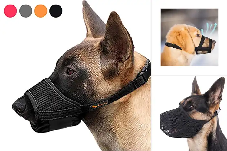 Detailed view of Best Soft Muzzles for Dogs