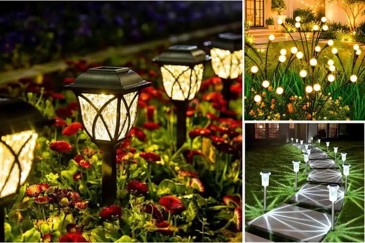 Detailed view of Best Solar Garden Lights
