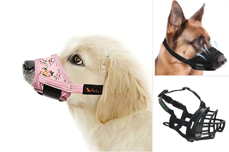 Detailed view of Best Travel Muzzles for Dogs: Top 10 Safe & Comfy Picks