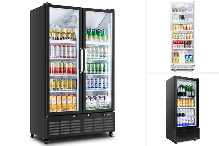 Detailed view of Best Upright Beverage Coolers: Top 10 Fresh Picks
