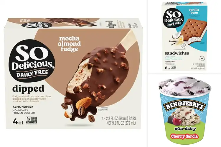Detailed view of Best Vegan Frozen Desserts: 10 Plant-Based Delights to Savor